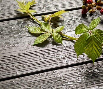 BPC Vlonderplanken Ebony