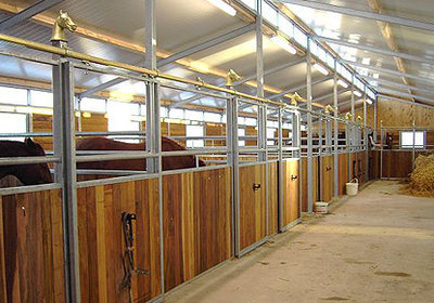 Hardhout Paardenboxprofiel 28mm dik 130mm breed