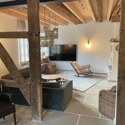 Bourgondische dallen, groot assortiment zie foto's